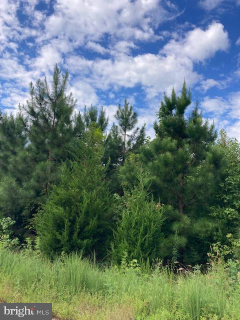 Kelly Road Kinsale, VA 22488 - Photo 1 of 2