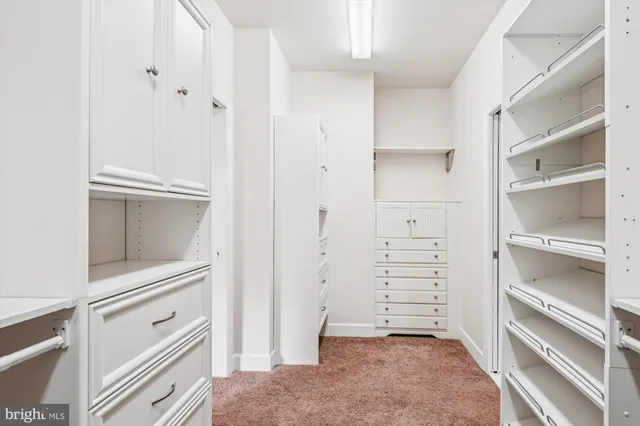a view of walk in closet with empty racks