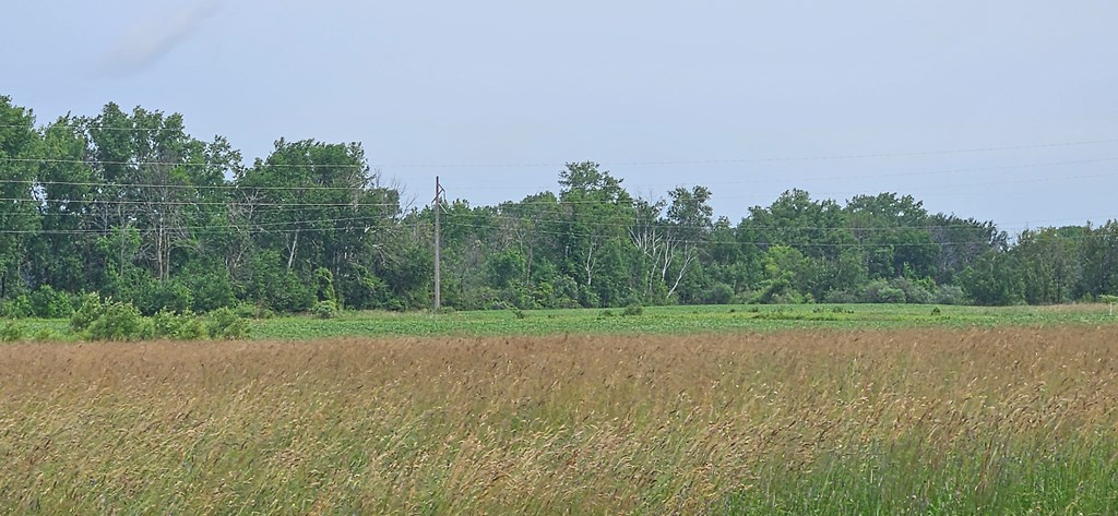 Lot 2 County Road Algoma, WI 54201 - Photo 8 of 10