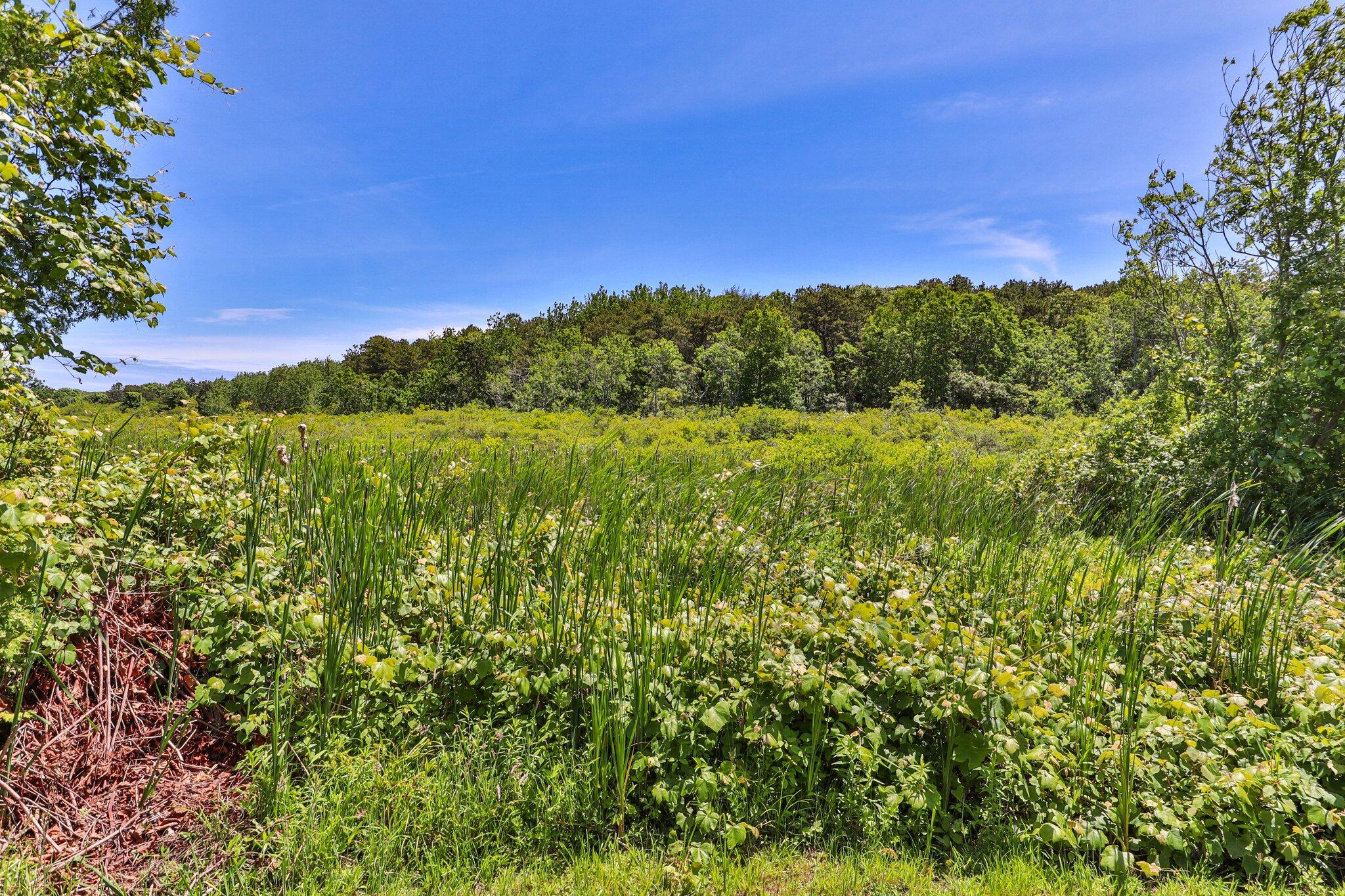 4 Pond Road, Unit B Truro, MA 02666 - Photo 32 of 40 a view of a lush green space with sea