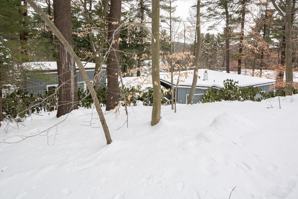 29 Patterson Road Lexington, MA 02421 - Photo 35 of 40