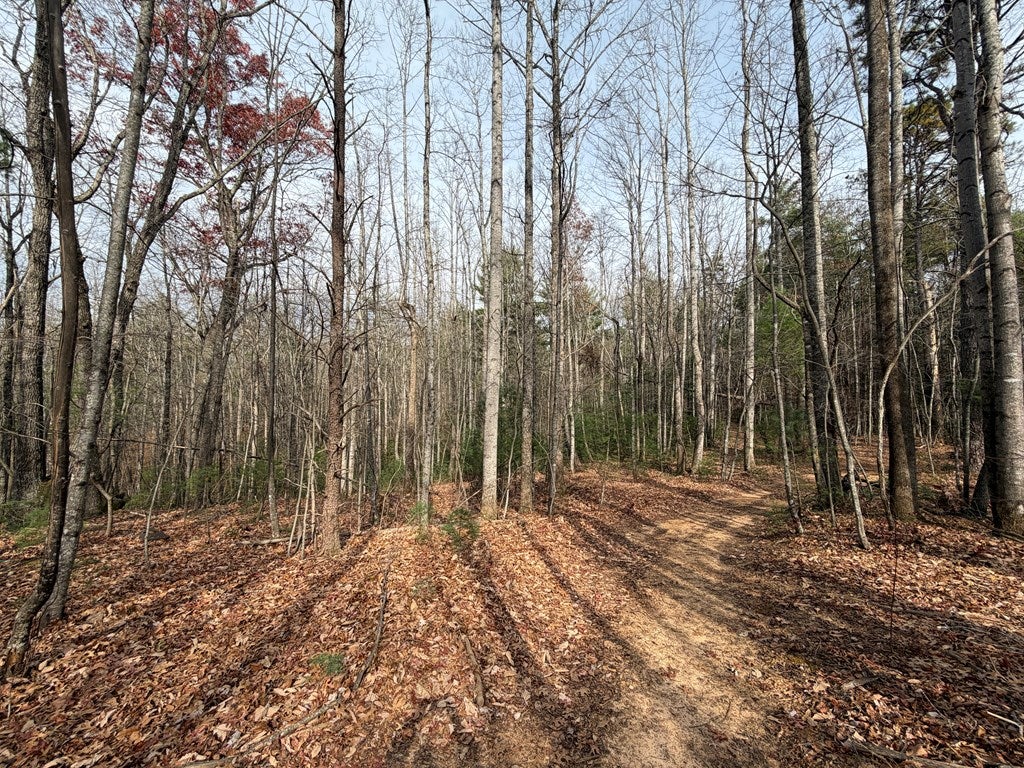 Tbd Caution Tape Road Cana, VA 24317 - Photo 16 of 27 Gallery Image 16
