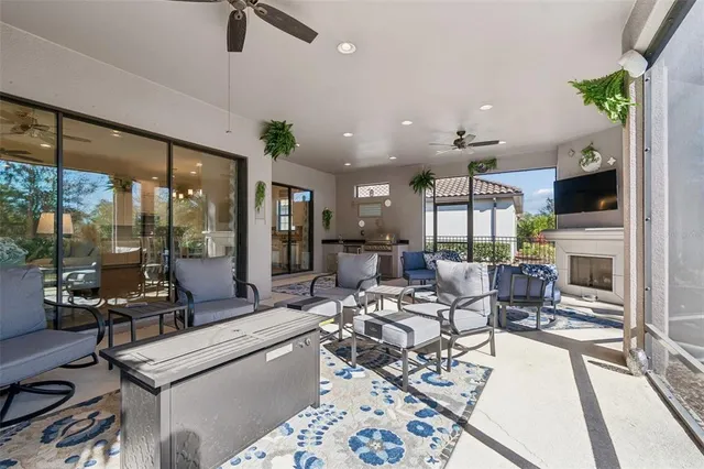 a view of backyard with potted plants and a large tree