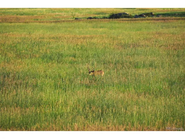 a green field with sign on it