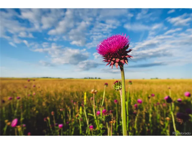 a view of an ocean and beach