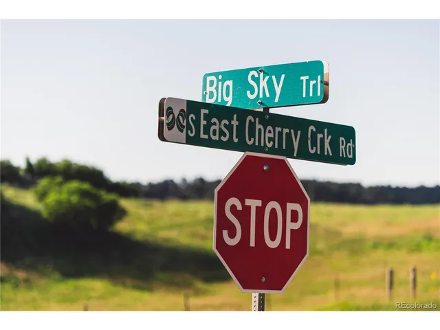 a close up of a flower pot