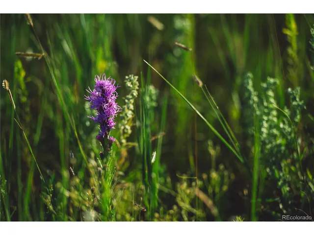 $729,999 | 0 Big Sky Trail, Elbert, CO 80106