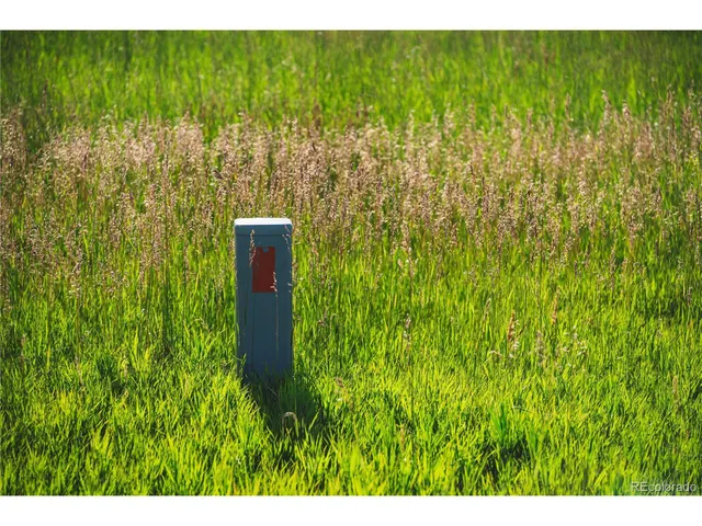 $729,999 | 0 Big Sky Trail, Elbert, CO 80106