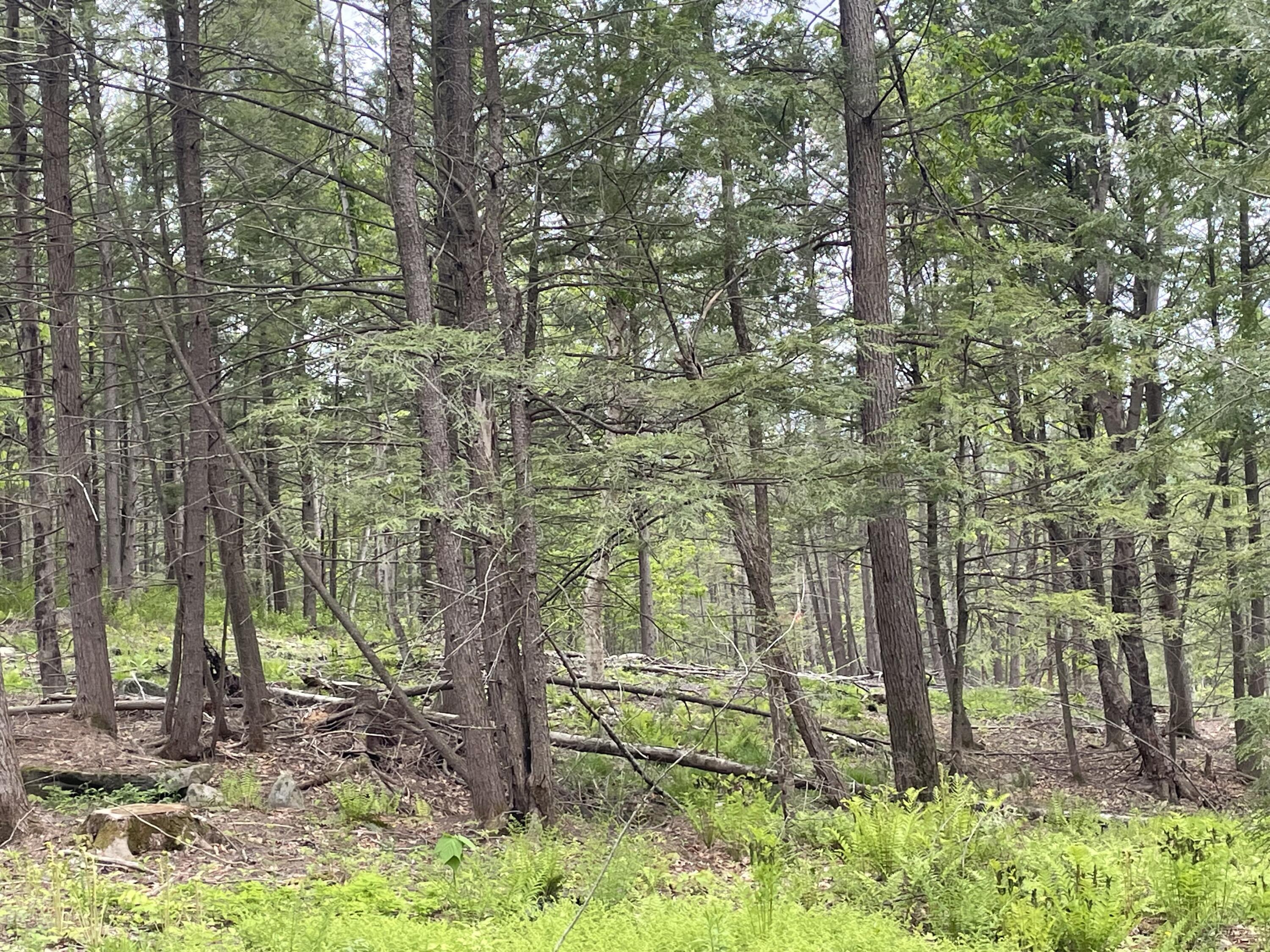 13a Zions Hill Road Chesterville, ME 04938 - Photo 6 of 14