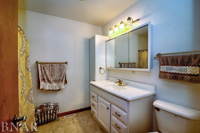 9537 Tabor Road Clinton, IL 61727 - Photo 13 of 17 a bathroom with a sink vanity and a mirror