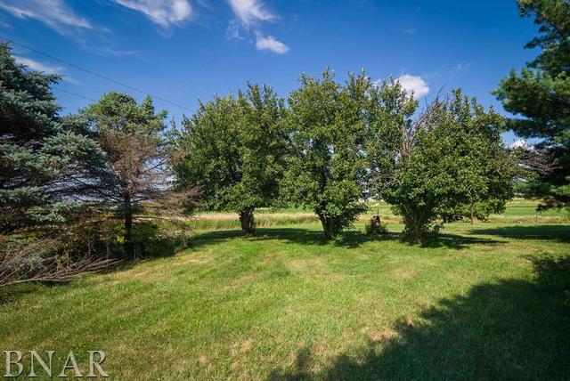 9537 Tabor Road Clinton, IL 61727 - Photo 16 of 17 a view of a green field