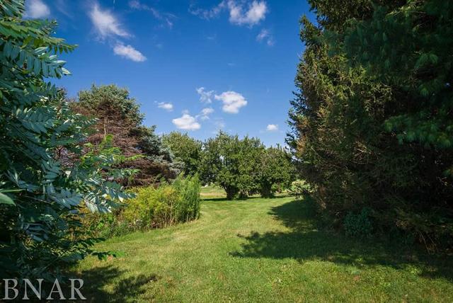 9537 Tabor Road Clinton, IL 61727 - Photo 17 of 17 a view of a big yard with large trees