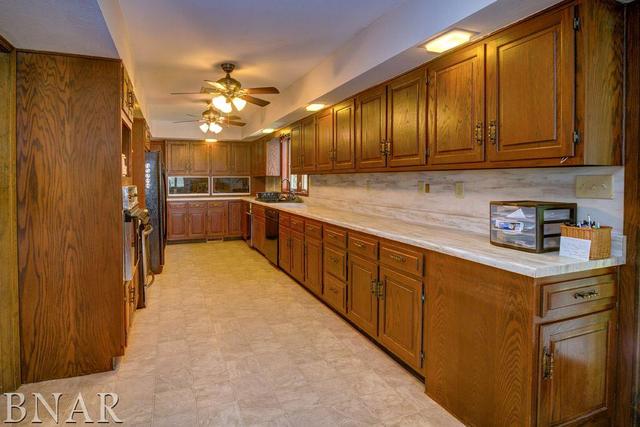 9537 Tabor Road Clinton, IL 61727 - Photo 5 of 17 a kitchen with cabinets a sink and appliances