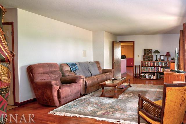 9537 Tabor Road Clinton, IL 61727 - Photo 9 of 17 a living room with furniture a rug and a window