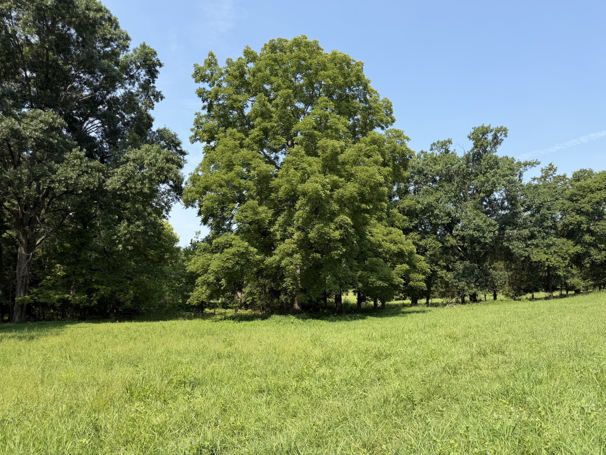 0 Flat Creek Road Spring Hill, TN 37174 - Photo 12 of 26 Gallery Image 12
