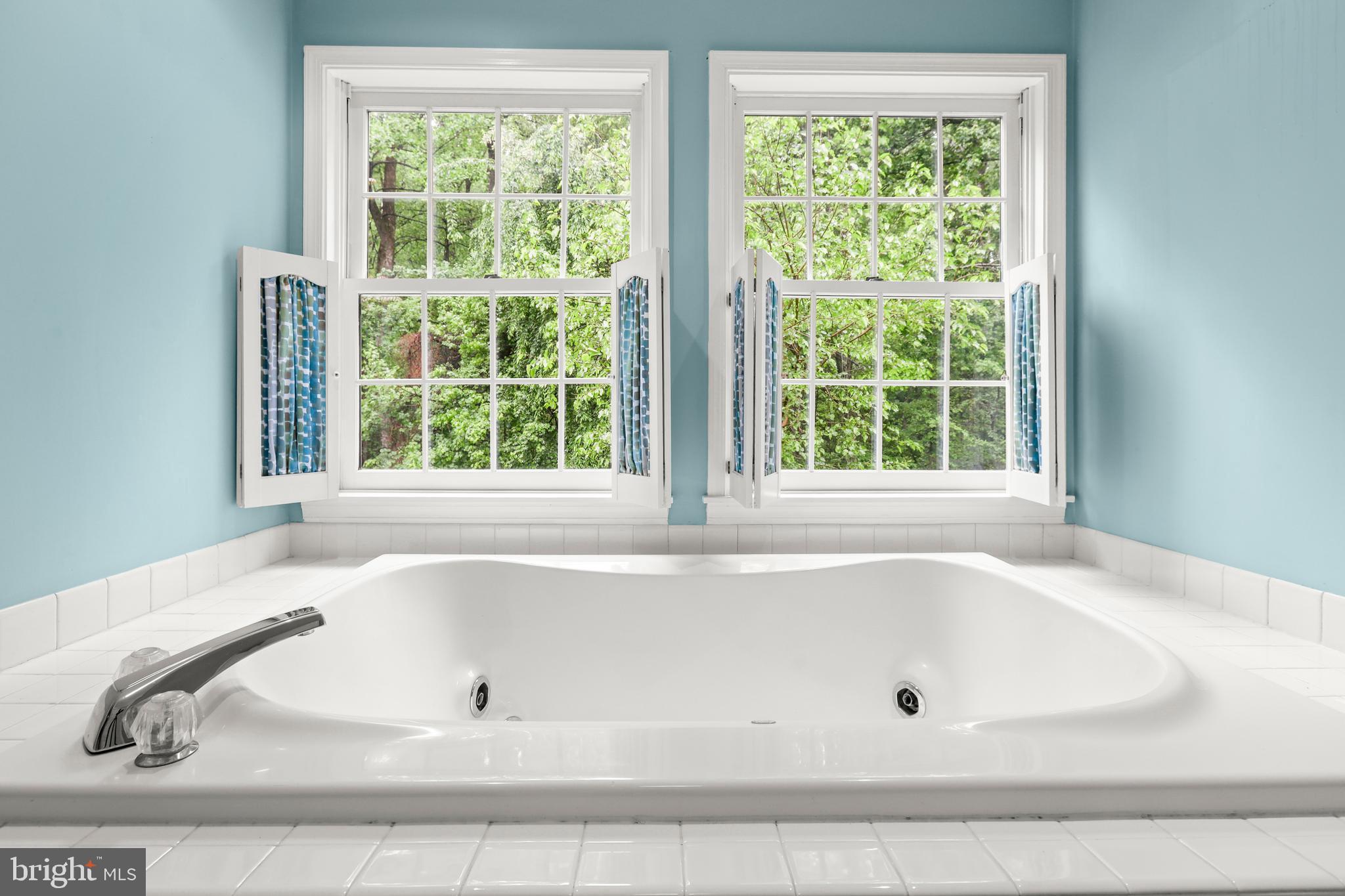 5602 Patterson Road Baldwin, MD 21013 - Photo 66 of 88 Jetted garden tub with plantation shutters