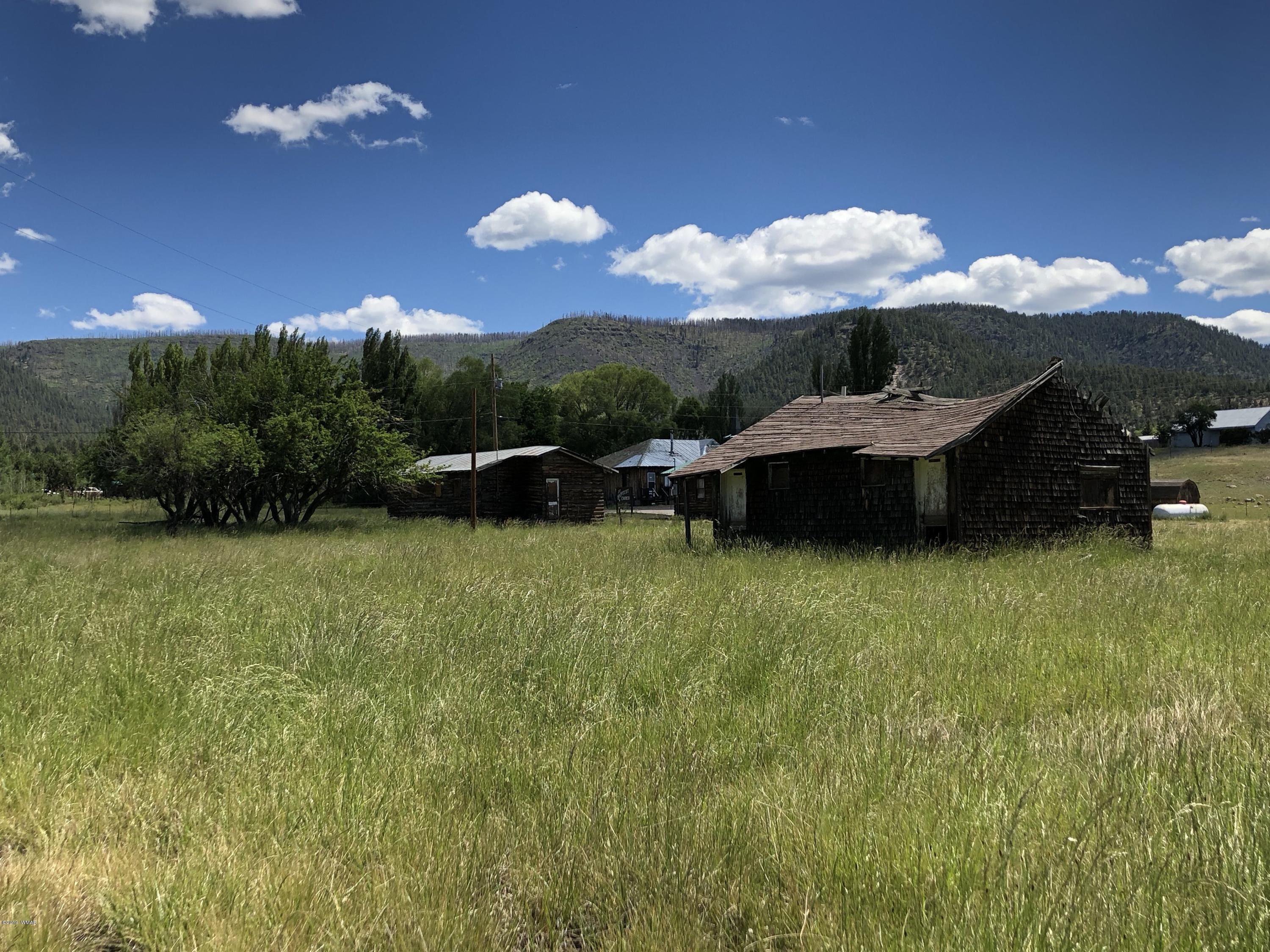 2 2055th Alpine, AZ 85920 - Photo 14 of 18