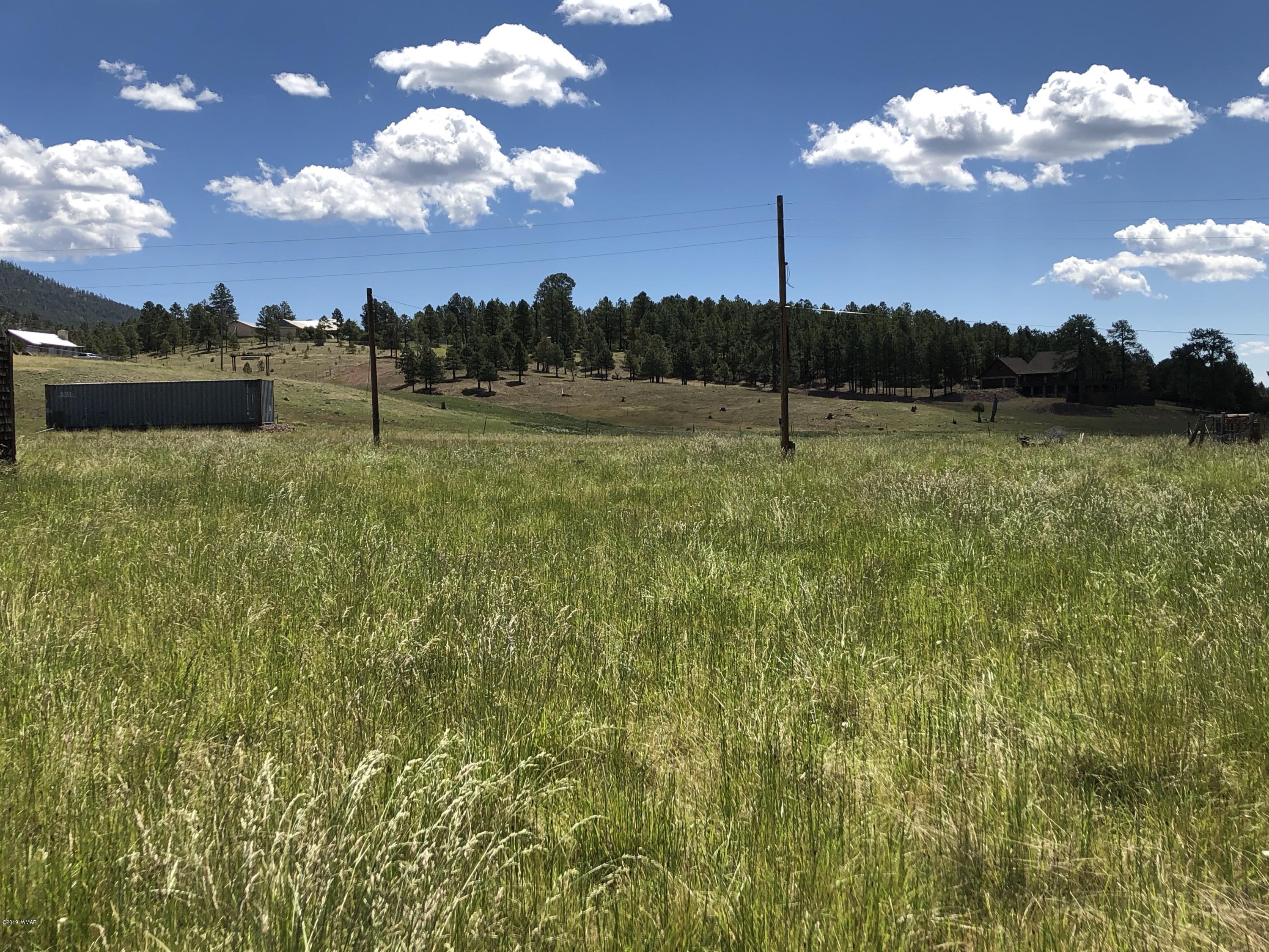 2 2055th Alpine, AZ 85920 - Photo 15 of 18