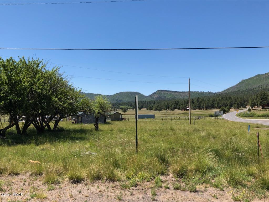 2 2055th Alpine, AZ 85920 - Photo 16 of 18