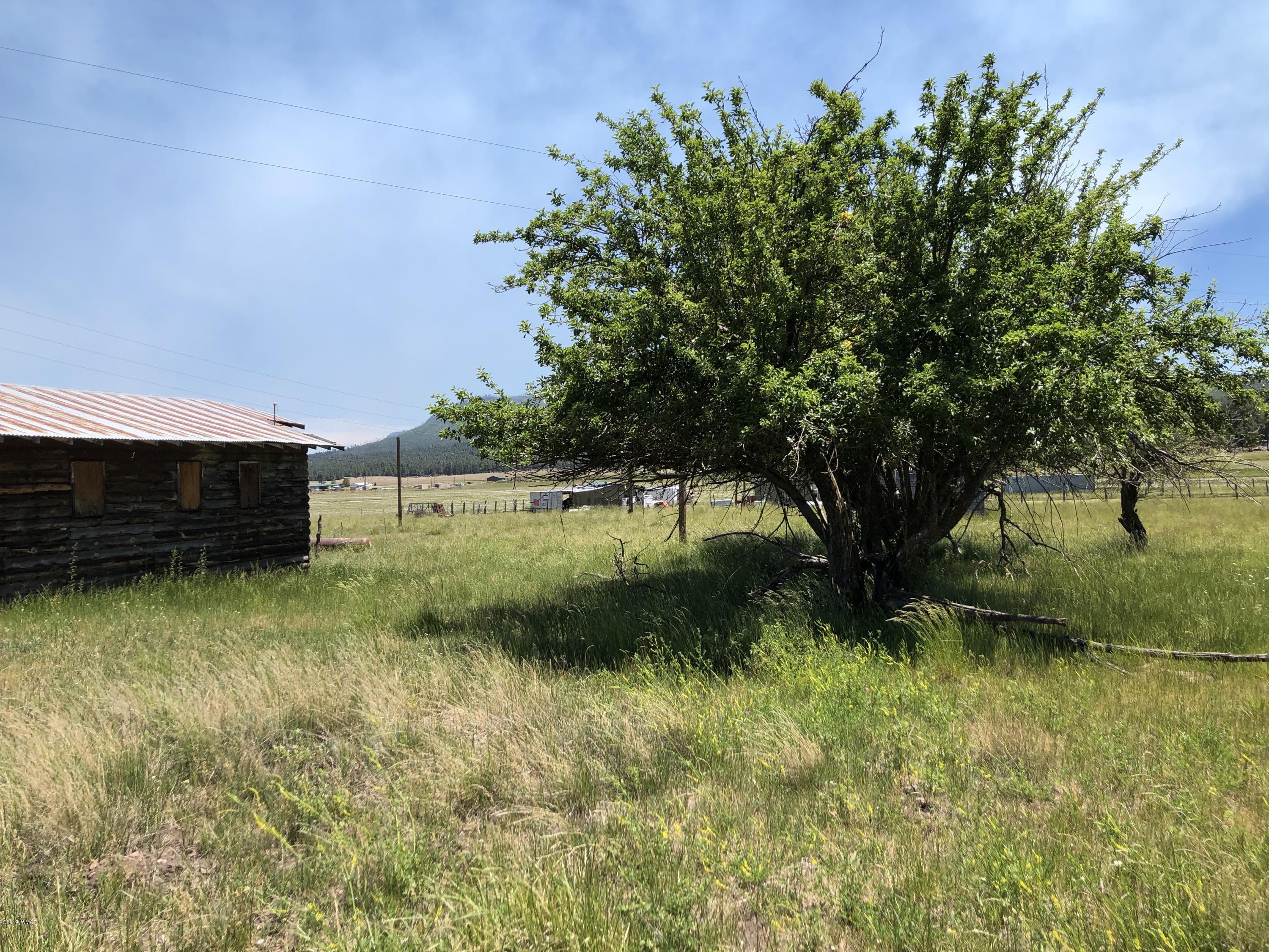 2 2055th Alpine, AZ 85920 - Photo 18 of 18