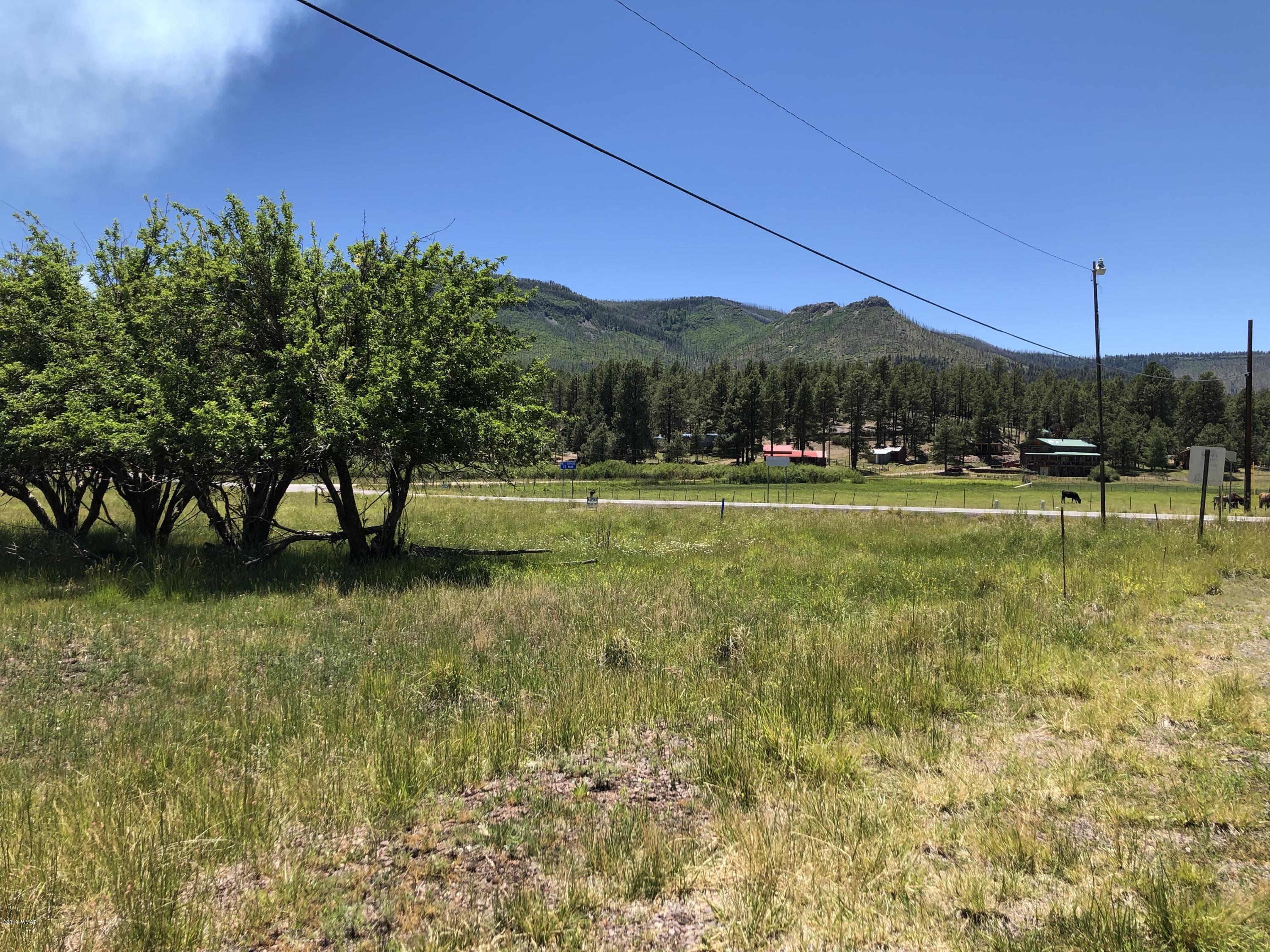2 2055th Alpine, AZ 85920 - Photo 4 of 18