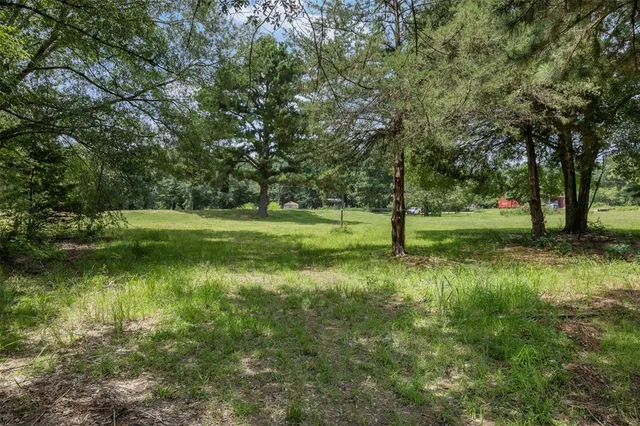 a view of a field with trees in the background