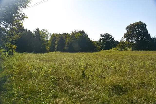 a view of field with large trees