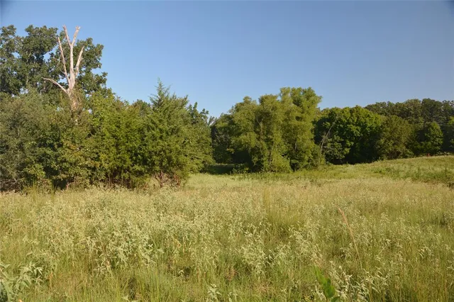 a view of a yard with an outdoor space