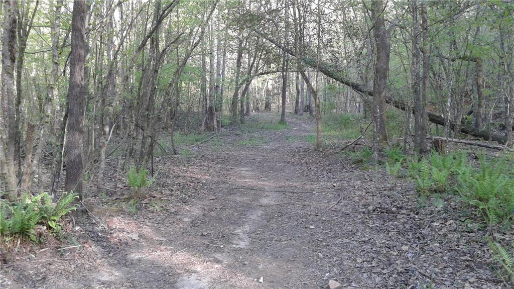 8801 Mull Road Vale, NC 28168 - Photo 31 of 36 a view of a forest with trees in the background