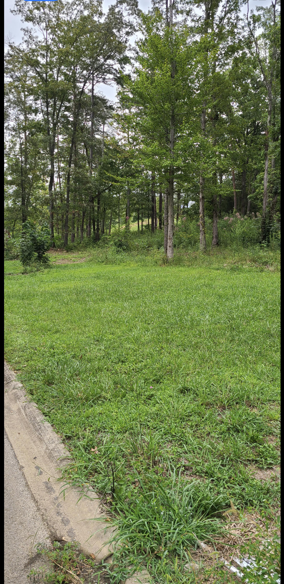 Lot 2 Hidden Ranch Way Seymour, TN 37865 - Photo 3 of 3 B51DF1E6-6703-4109-9173-987C192383FF
