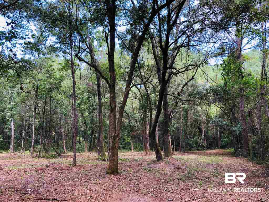 17370 Polo Ridge Boulevard Fairhope, AL 36532 - Photo 8 of 17