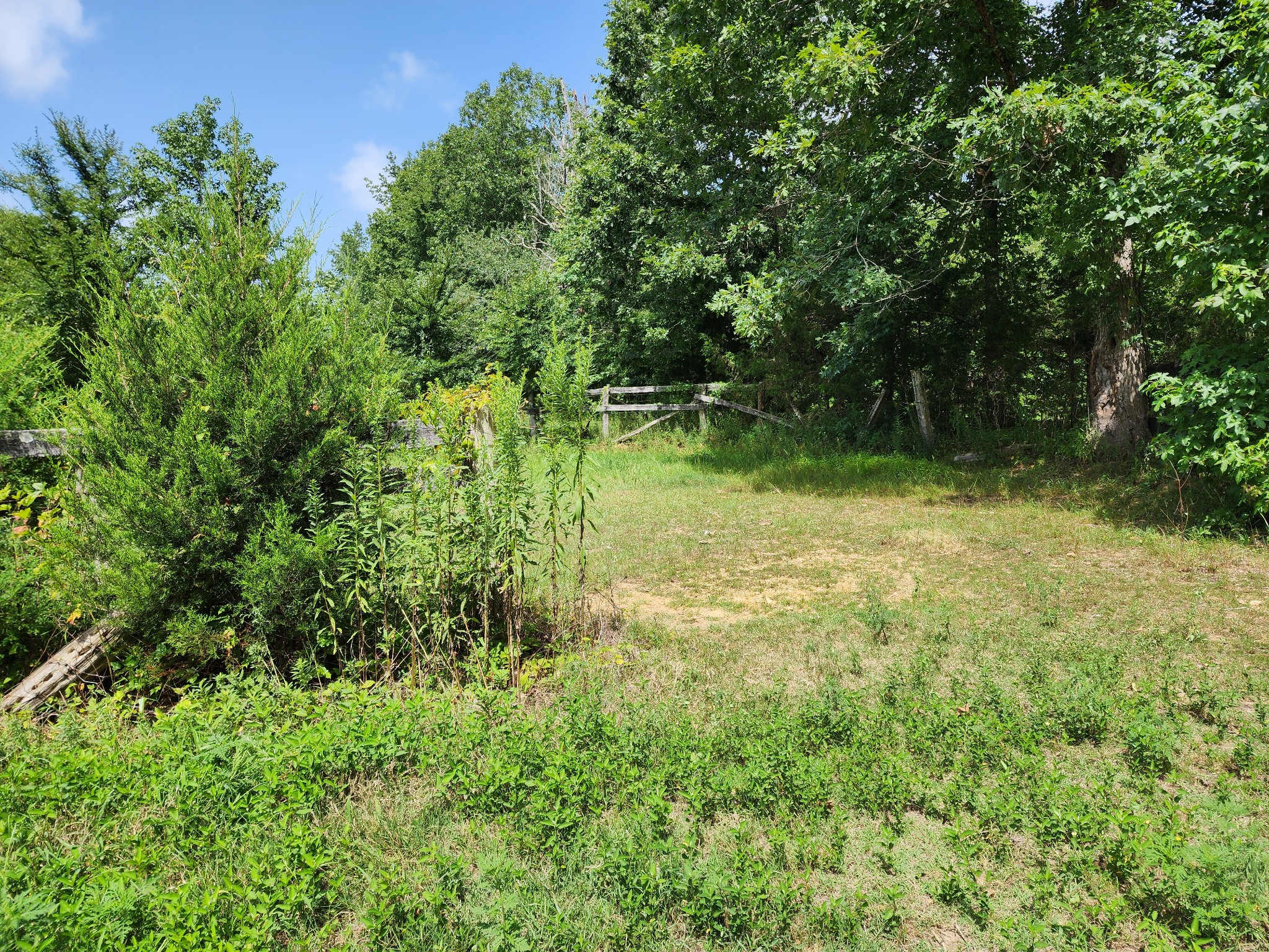 531 Terry Road Waynesboro, TN 38485 - Photo 18 of 22 Gallery Image 18