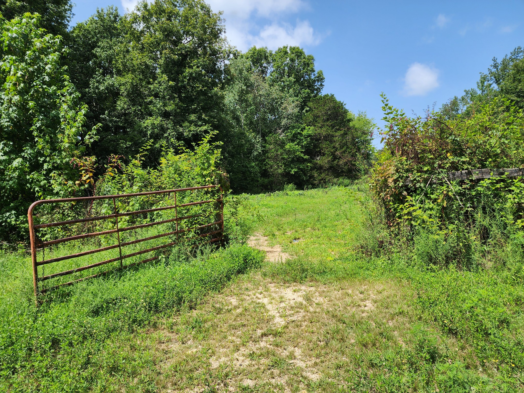 531 Terry Road Waynesboro, TN 38485 - Photo 3 of 22 Gallery Image 3