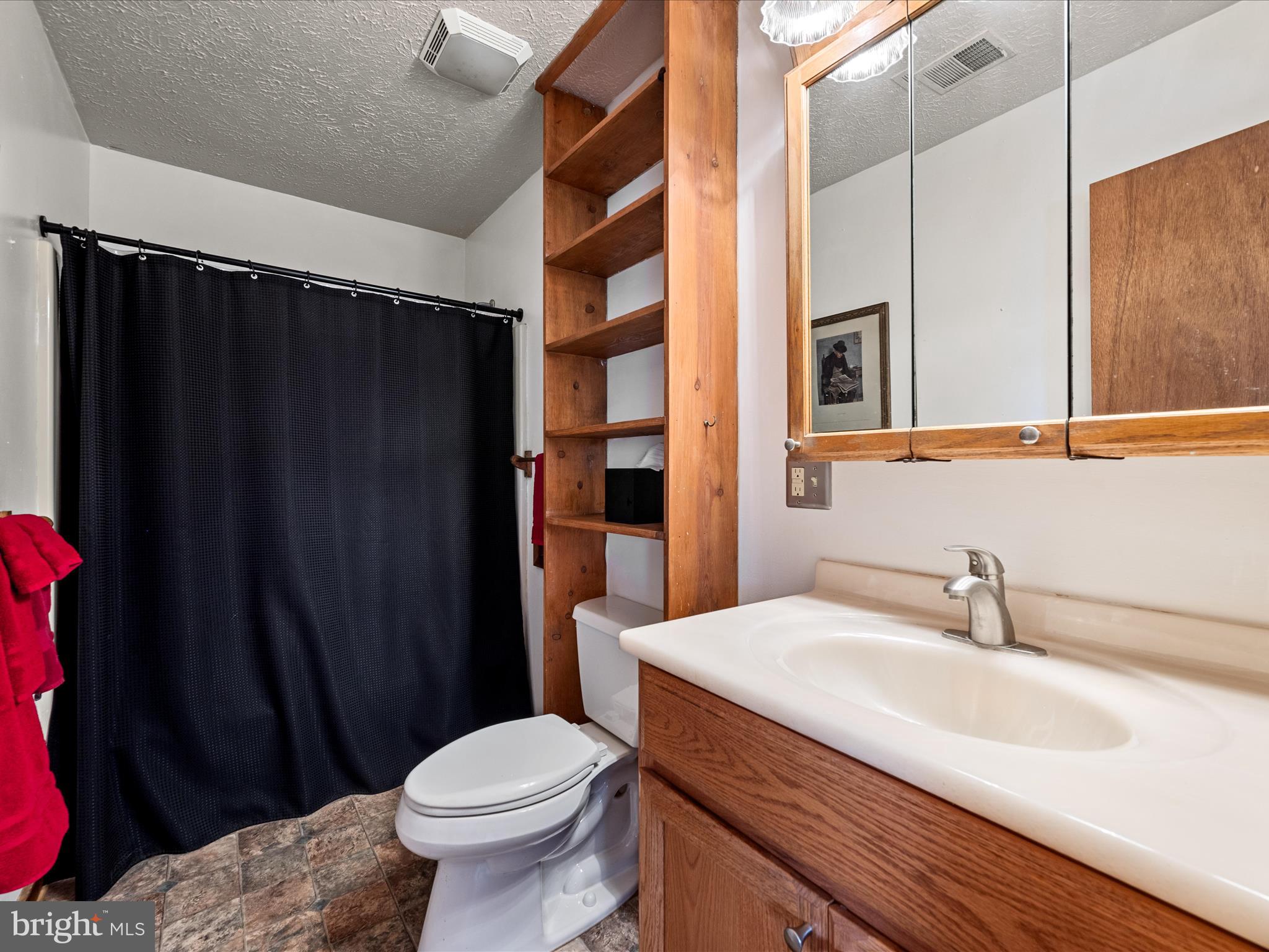 2064 Sulphur Springs Road Middletown, VA 22645 - Photo 48 of 80 Bathroom