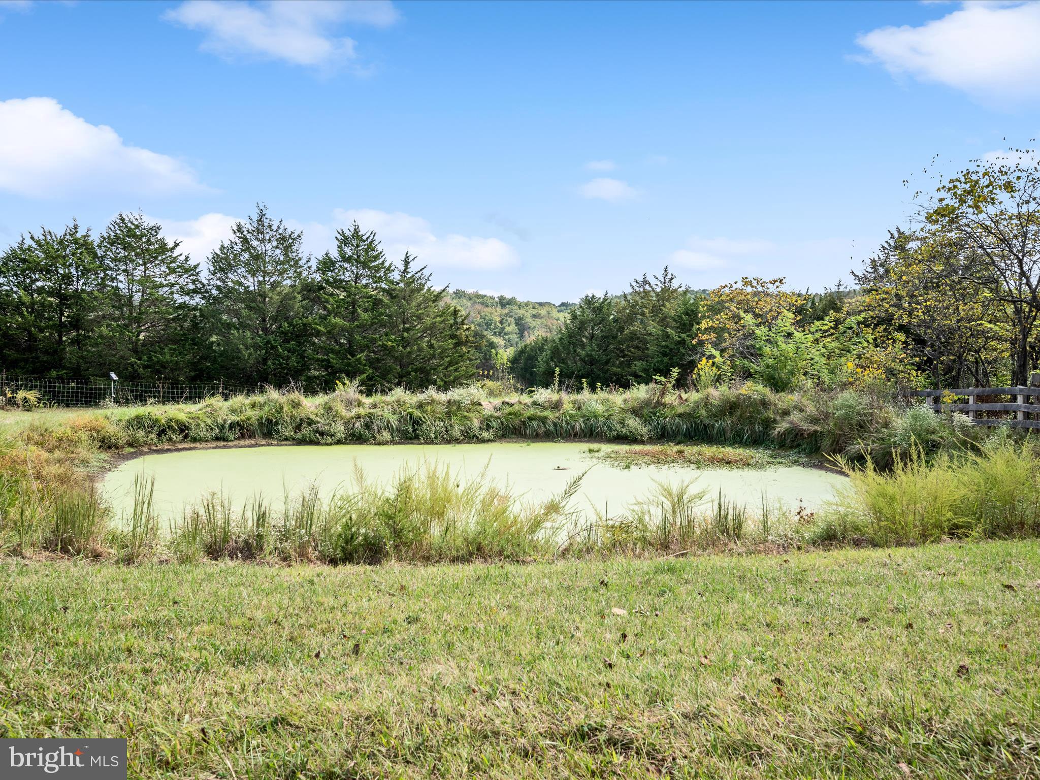 2064 Sulphur Springs Road Middletown, VA 22645 - Photo 80 of 80 Pond