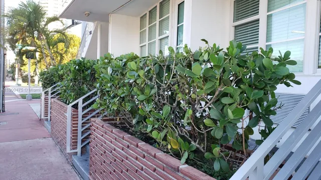 a plant is in front of a house