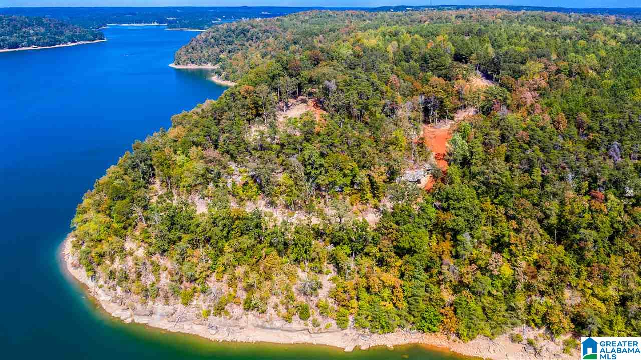 0 County Road 297 Cullman, AL 35057 - Photo 44 of 48