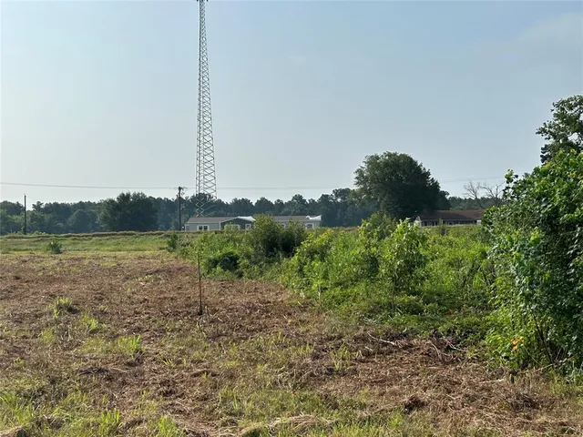 a view of a field of grass and trees