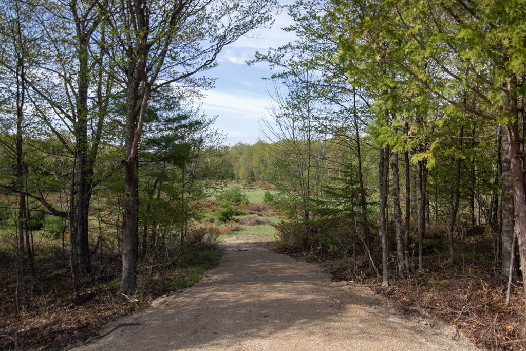 Lot 31 County Road Fish Creek, WI 54212 - Photo 3 of 7