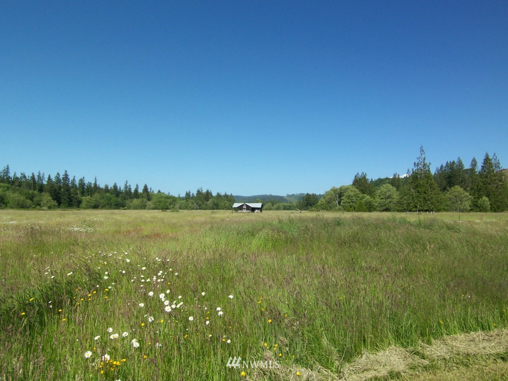 548 Mox Chehalis Road McCleary, WA 98557 - Photo 8 of 24 Gallery Image 8