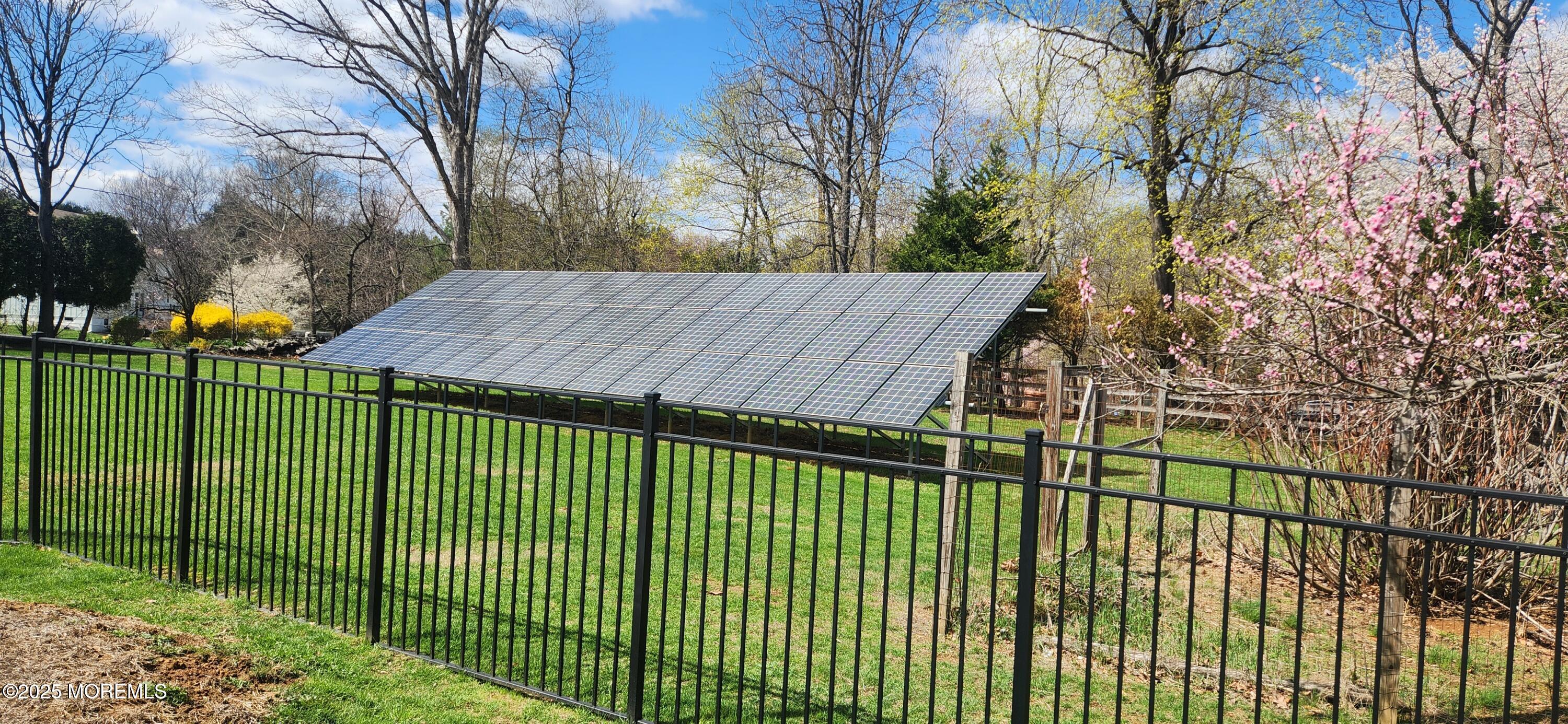 330 Randolph Road Freehold, NJ 07728 - Photo 43 of 63 a view of a backyard and tree