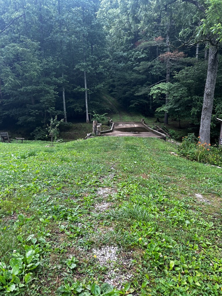 0 Raven Branch Road Del Rio, TN 37727 - Photo 27 of 29