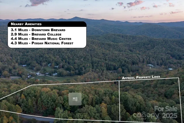 a view of a swimming pool with a patio and a garden