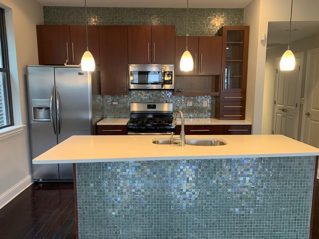1231 East 46th Street, Unit 2E Chicago, IL 60653 - Photo 4 of 18
