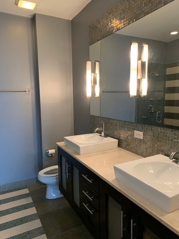 1231 East 46th Street, Unit 2E Chicago, IL 60653 - Photo 7 of 18