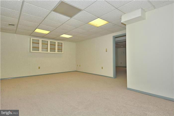 1101 Ednor Road Silver Spring, MD 20905 - Photo 21 of 29 Basement