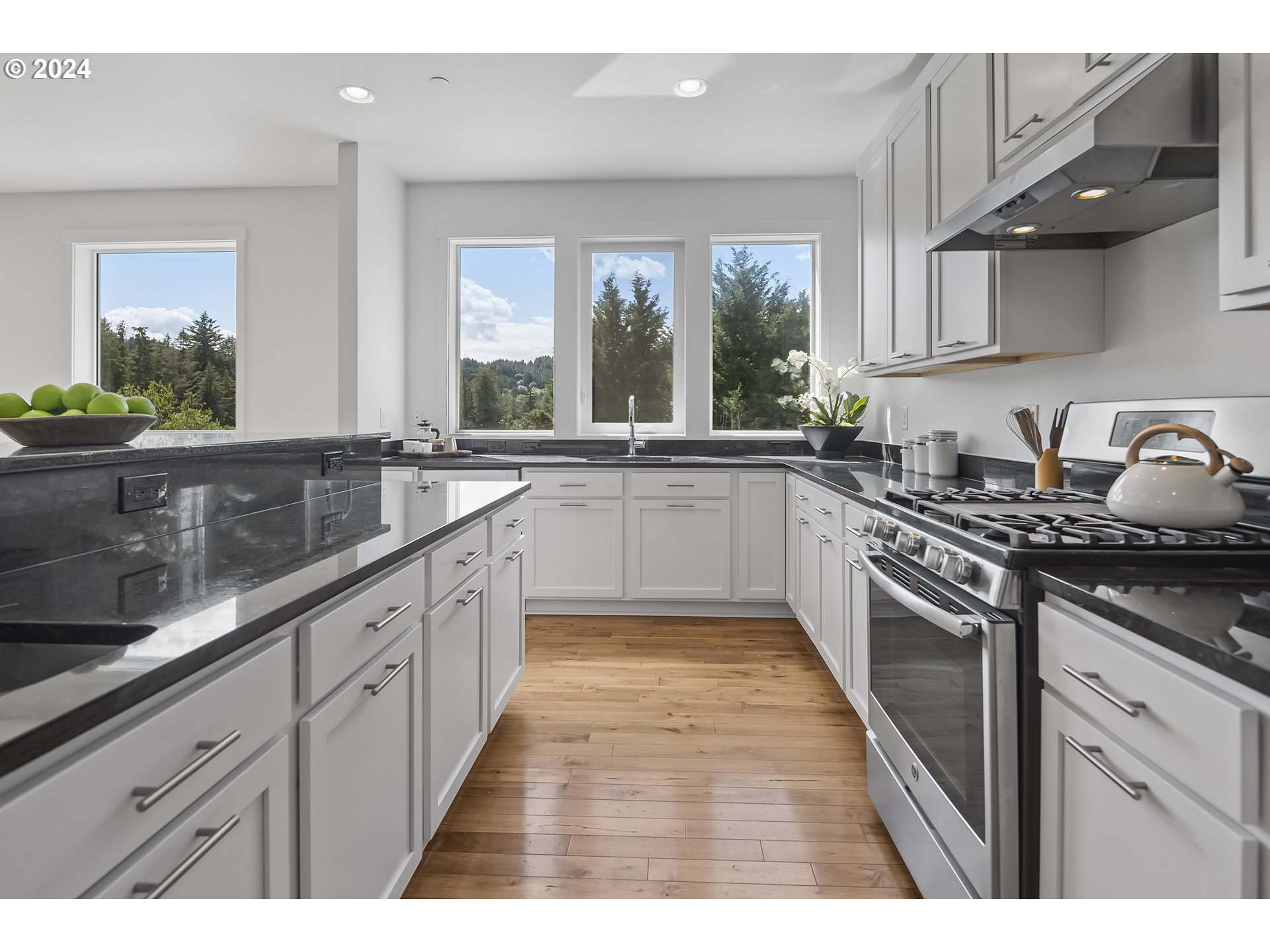 3557 Northeast Franklin Loop Camas, WA 98607 - Photo 11 of 39 Gallery Image 11