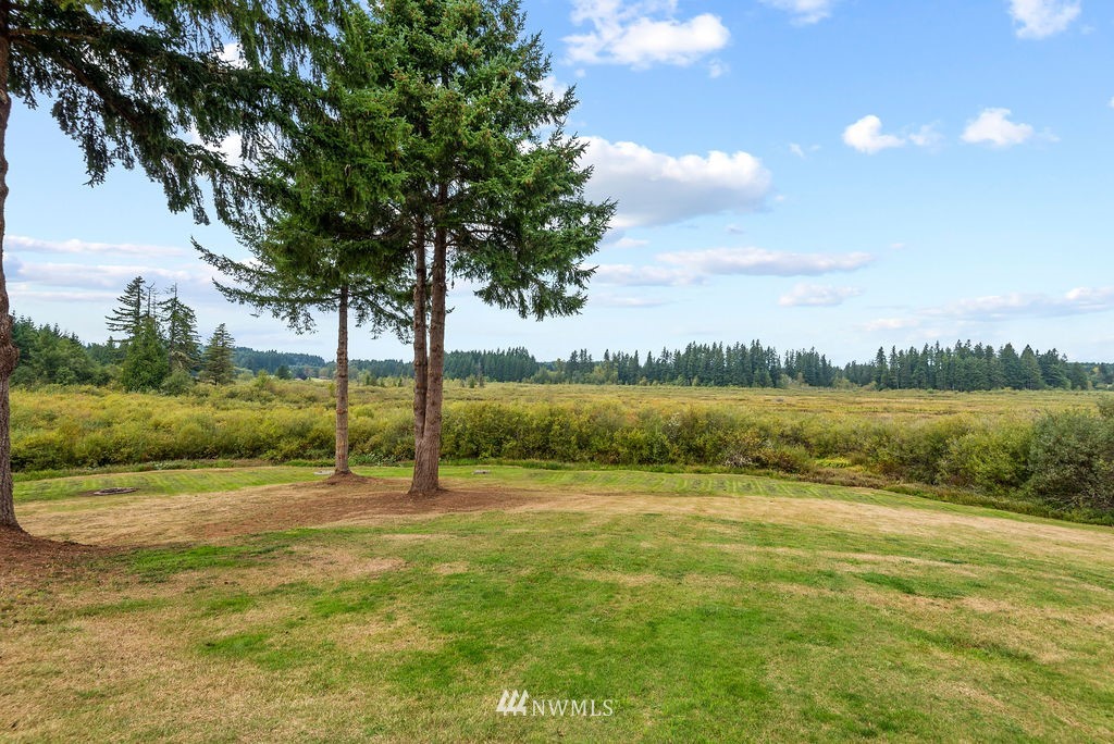 700 Carnine Road Castle Rock, WA 98611 - Photo 26 of 29 Gallery Image 26