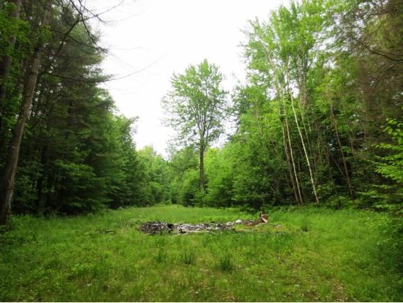 104 Keyes Road Wilton, NH 03086 - Photo 1 of 1