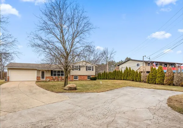 a view of road with large trees